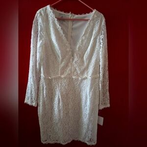 Lily White Lace Dress - Elegant White